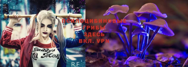 соль курить ск Щёлкино