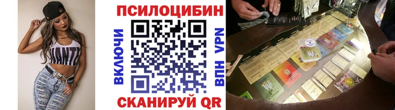 Галлюциногенные грибы Psilocybine cubensis  Купить где  Оха 